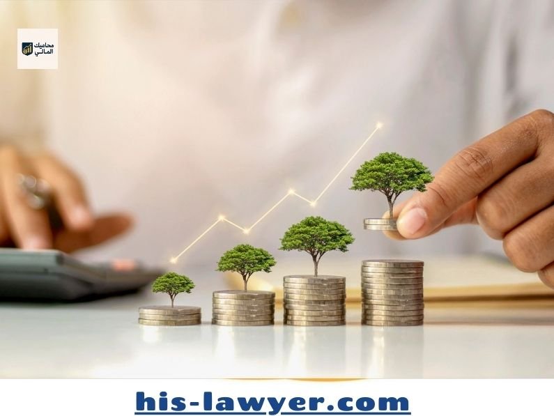 استراتيجيات التوازن المالي بين الضروريات والكماليات